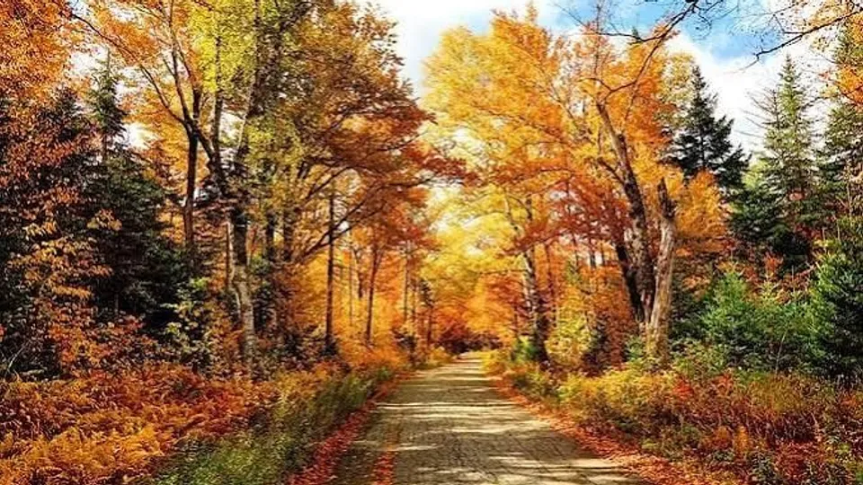 Fall in Victoria